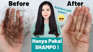 3) aura hijab shampoo sesuai untuk semua jenis rambut ke? Shampo Paling Ampuh Untuk Mengatasi Rambut Rontok Pengalamanku Youtube