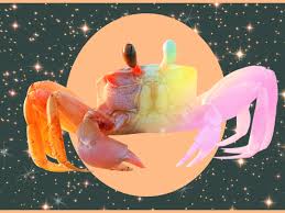 Aries ruling planet is mars and the first of the fire elements. Cancer Horoscope May 2020 Love And Career Predictions Allure