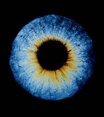 Gallery The Beauty Of A Thin Film Of Oil