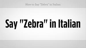 How To Say Zebra In Italian Italian Lessons Youtube