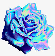 After clicking the request new password button, you will be redirected to the frontpage. Top 10 Holographic Flowers Holographic Tumblr Stickers Png Png Image Transparent Png Free Download On Seekpng