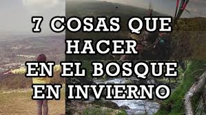 We did not find results for: Que Hacer En El Bosque Turismo El Bosque Grazalema Benamahoma Cadiz