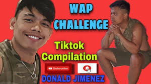 WAP CHALLENGE || TIKTOK COMPILATION