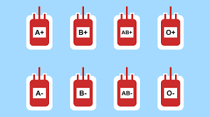 The red blood cell in thalasemic patient have short age, so they but human is basically the same so blood type in human was considered non specific to origin of person / nationality, it was a genetic trait. What Your Blood Type Says About You A Fun Educational Look At Your Health And Personality Walden University