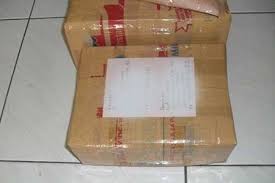 Cara Dan Tempat Ambil Paket Jne Jember