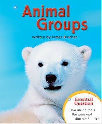 Animal Classification First Grade Science Animal Classification Animal Groups