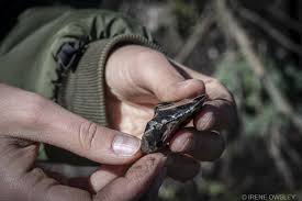 Image result for Obsidian 2011 HS