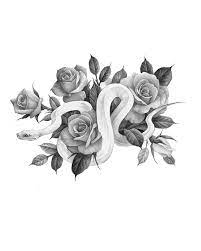 instagram의 타투이스트 마사님 뱀작업 문의가 많네요 타투 마사타투 일러스트 뱀타투 snake tattoo design animal illustration art drawings