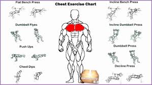 arms bodybuilding exercises chart 399700ubzgrw lovely chest