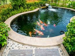 Dengan membuat sebuah taman di belakang rumah sekaligus kolam tentunya menjadi sebuah keindahan tersendiri bagi rumah anda. 10 Inspirasi Desain Kolam Ikan Mini Untuk Lahan Sempit Rumah123 Com