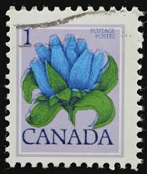 Order flowers online from our canada florist for same day delivery. Canada Flowers Postage Stamp Set 1977 78 Used Vintage Post Etsy In 2021 Vintage Postage Stamps Post Stamp Botanical Illustration