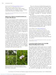 Image result for Barleria vollesenii