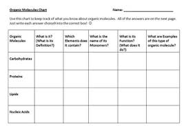 Organic Molecules Graphic Organizer