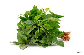 Lo zheng decided to study the higher martial art of becoming god. Sahaja Aharam Chukka Koora