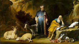 Image result for Hippocratea goetzei