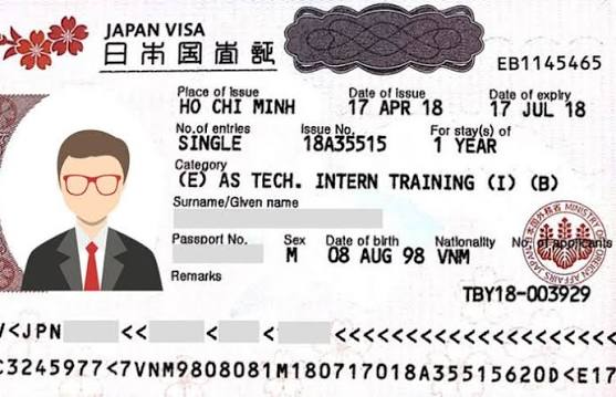 Hướng dẫn thủ tục xin visa du lịch Nhật Bản tự túc mới nhất