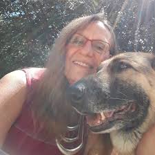 Renovation options for NK middle schools