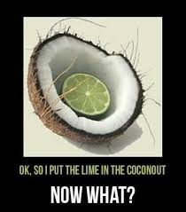 Ok So I Put The Lime In The Coconut Now What Call The Doctor N Wake Him Up Silly Coconut Lime Make Me Laugh Just For Laughs