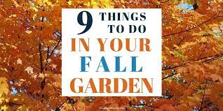 I am crushed!' in fact, i don't know what i should do if i hadn't got something to fall back upon.' 9 Fall Garden Tasks You Can T Ignore Free Checklist You Should Grow