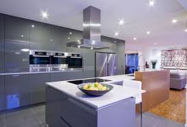 contemporary kitchen cabinets that