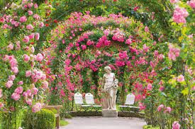 We did not find results for: Rose Society Garden New Rose Garden