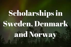 Scholarships in Sweden, Denmark and Norway | INOMICS