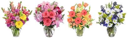 Voted best of the best florist in charleston. 8 Best Flower Delivery In Mount Pleasant Sc Flower Delivery Reviews