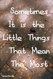 Sometimes, we put too much passion on the biggest dreams and priorities in life, that we failed to love the smallest pleasures from simple things. Sometimes It Is The Little Things Matter Quotes Top Quotes Inspiration Little Things