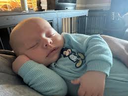 Is there anyone who could possibly put these photos together. My son