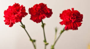 Arbeit symbol in google material ✓ finden sie das perfekte symbol für ihr projekt und laden sie sie in svg, png, ico oder icns herunter, es ist kostenlos! Ver Di 125 Jahre Tag Der Arbeit