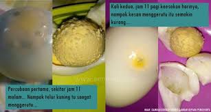 Kemudian, anda balut telur itu menggunakan tuala bersih. Cara Nak Hilangkan Demam Panas Bahaya Sgt Demam Panas Kanak2 Atau Org Dewasa Boleh Lumpuh Saraf Rosak Sawan Petua Putih Telur Dgn Madu Guna Sudu Plastik Ambik Madu