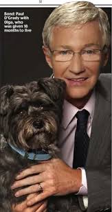 O'Grady: I've spent £8,000