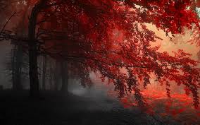 We have an extensive collection of amazing background images carefully chosen by our community. 27 Dark Red Aesthetic Wallpapers For Laptop Pictures
