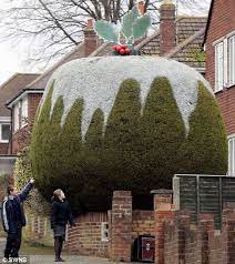 Whale Hedge Sculpture Proves A Big Hit In Seaside Town Hedges Christmas Wonderland Outdoor Christmas