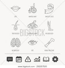 Eye Neurology Brain Vector Photo Free Trial Bigstock