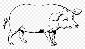 Pig Clipart Cute Black And White Pig Png Transparent Png Vhv It's required to give attribution if you use this image on your website pig clipart cute black and white pig
