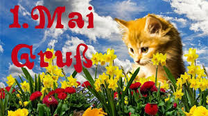 Grusse Zum 1 Mai Ich Wunsche Dir Einen Wunderschonen Start In Den Mai Grusse Zum 1 Mai Maifeiertag Guten Morgen Gruss