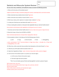 Muscular system this is the muscular system. Skeletal And Muscular System Review