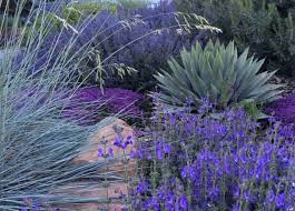 Being familiar with an array of front landscaping garden ideas is really beneficial in your step to wound up your own. Xeriscape Design And Landscaping Home