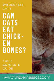 We recommend leaving off the breading and fat trimmings (including the skin) if you're going to feed your cat chicken. Can Cats Eat Chicken Bones A Complete Answer With Videos Wildernesscat In 2020 Chicken Bones Cat Nutrition Cat Food Brands