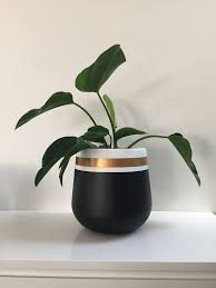 Black And White Pot Painting Ideas Hand Painted Lightweight Plant Pot In Black And White With A Metallic Gold Stripe This Is A Striking Design In 2020 Plant Pot Diy Painted Plant Pots Painted Pots Diy