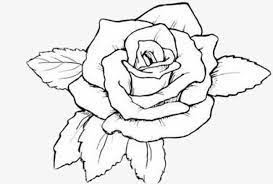 ومن ناحية رسم الورود rose coloring pages flower coloring pages pyrography patterns