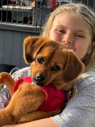 Rate this cuteness from 0-10😍😍