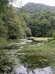 Santa fe national park or parque nacional santa fe is a remote, beautiful, and biological diverse area in central panama, protecting over 700sq km of some of the most pristine primary tropical rainforest in central america. Elevation Of Santa Fe Panama Topographic Map Altitude Map