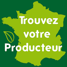 Couper au ras du sol les cannes. Comment Tailler Ses Framboisiers A La Sortie De L Hiver Youtube