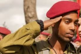 Organ donation Articles and latest stories