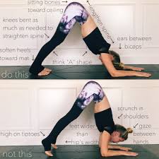Dolphin Pose Instagram Chelseasyoga Dolphin Pose Yoga Postures Yoga Help