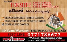 For over 50 years, we have taken pest control seriously, and have millions of satisfied customers to prove it. Termites Info Termites Control Sri Lanka