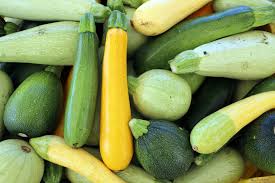 Zucchini grows best in temperate climates…not too hot, not too cold. Summer Squash Cook For Your Life