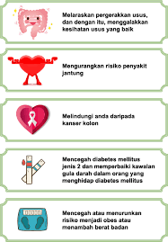 Bagi anda yang sedang diet, 8 buah ini mungkin baik dikonsumsi untuk membantu menurunkan berat badan Diet My Health My Life